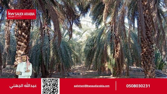 مزرعة  للبيع في وادي الحمض، المدينة المنورة - مزرعة للبيع في وادي الحمد، المدينة