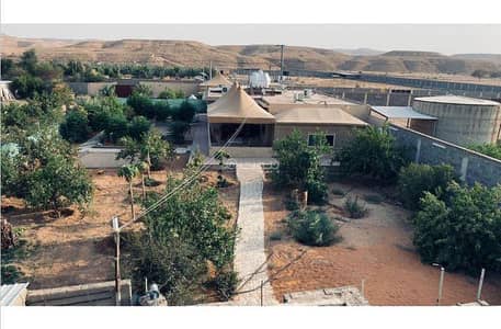 8 Bedroom Farm for Rent in Hijrat AlAwsat - Farm for rent in Hijrat AlAwsat