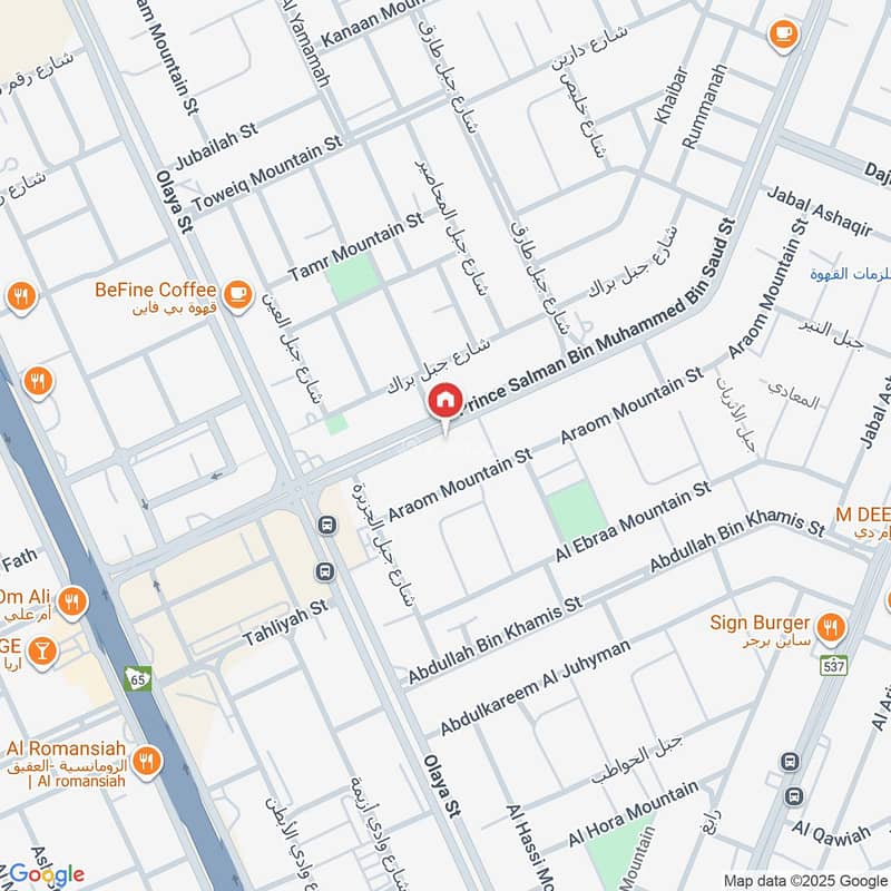 Map image