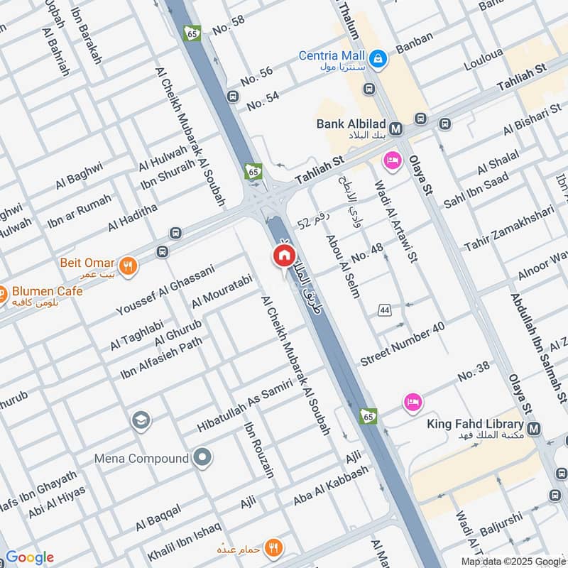 Map image