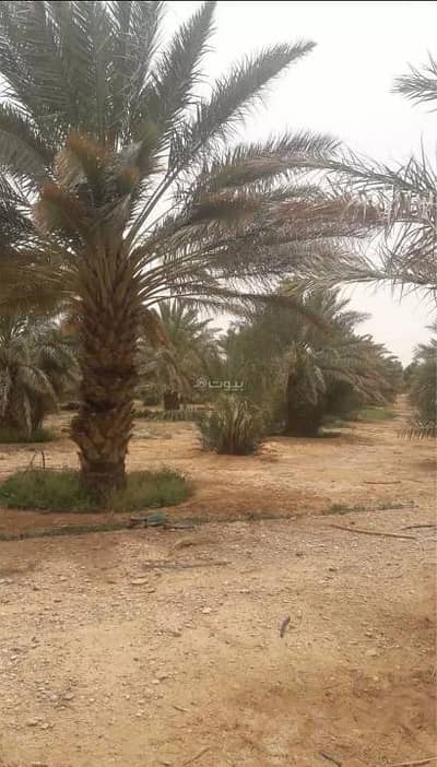 6 Bedroom Farm for Sale in Al Abalah Farms, Al Abalah Riyadh Region - Farm for sale in Al Abalah Farms, Al Abalah