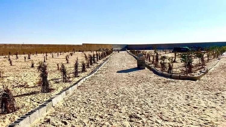 Residential Land For Sale in Buqayq Residential Land For Sale in Buqayq