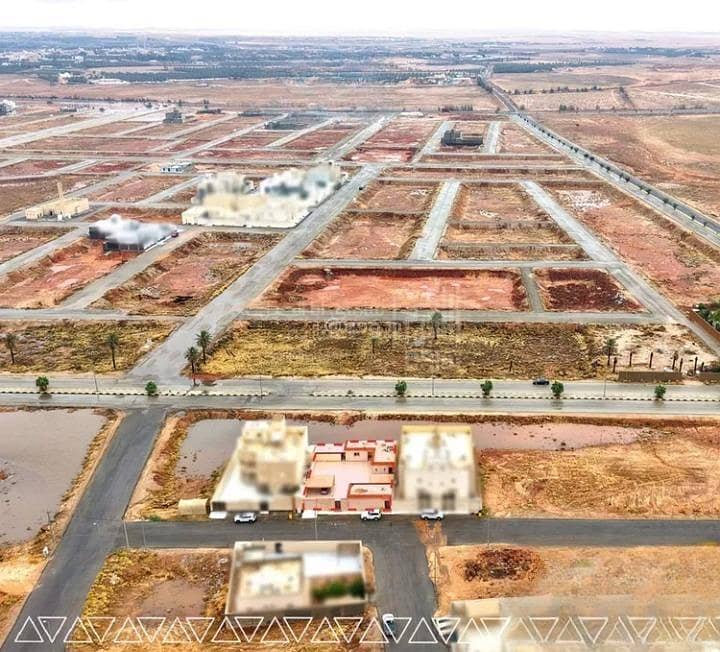 استراحة للبيع في البيضة، البكيرية استراحة للبيع في البيضة، البكيرية