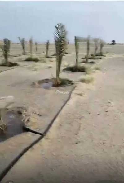 Residential Land for Sale in Al Junainah 1 - Land For Sale in Bisha - Al Janina Area Residential Land for Sale in Al Junainah 1 - Land For Sale in Bisha - Al Janina Area