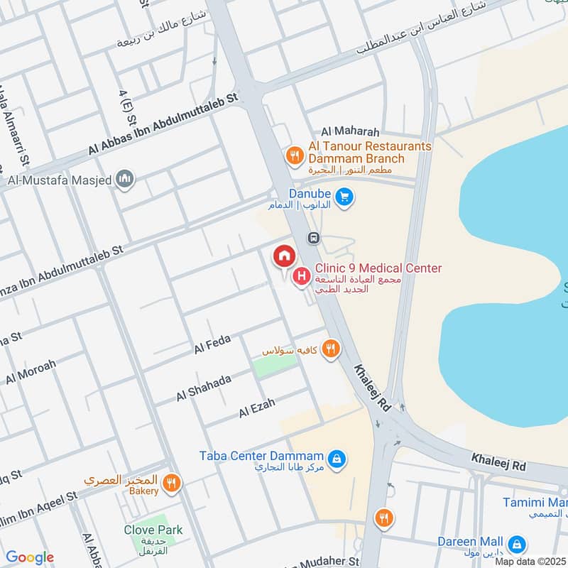 Map image