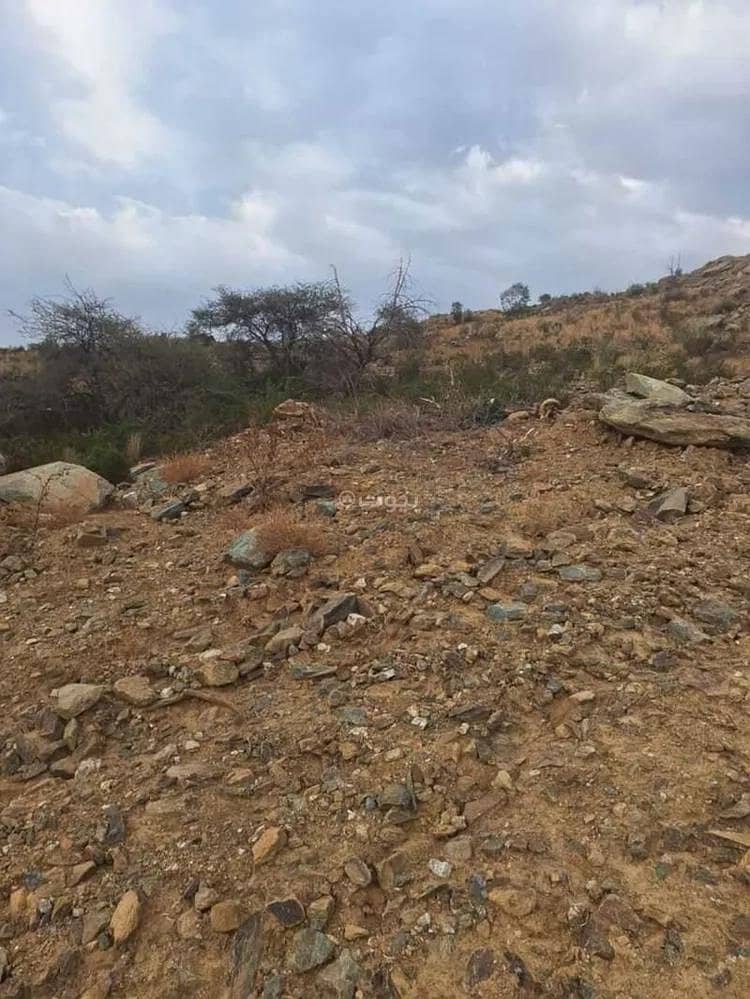 Residential Land For Sale in Ar Rehab, Al Bahah Residential Land For Sale in Ar Rehab, Al Bahah
