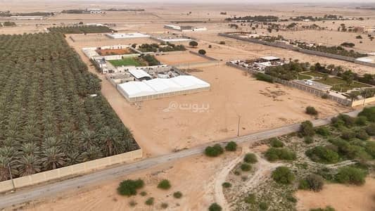 ارض سكنية  للايجار في الرفايع، الخرج منطقة الرياض - للإيجار أرض زراعية على طريق الرياض الخرج