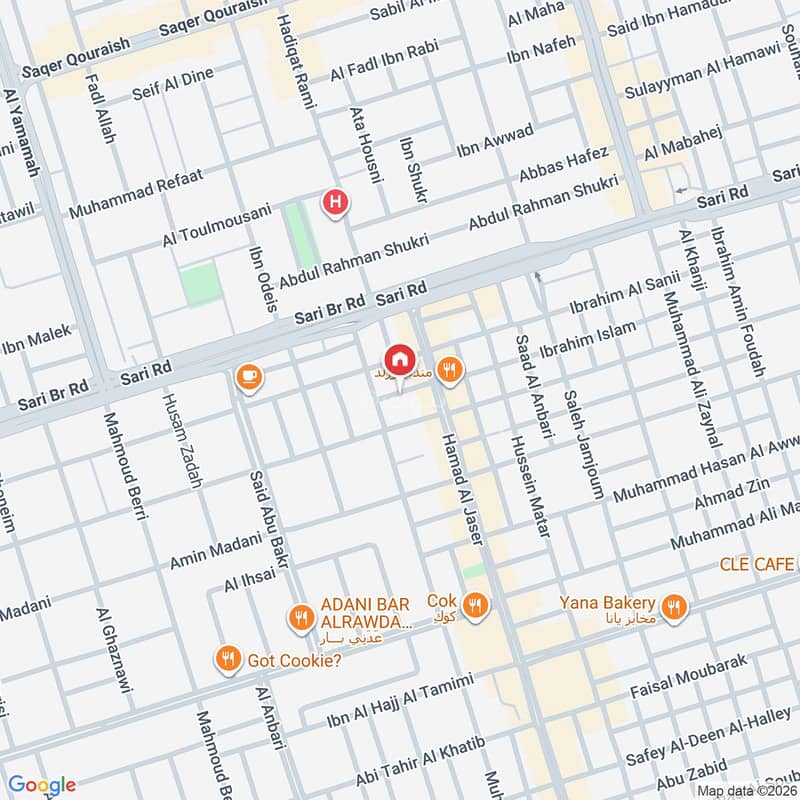 Map image