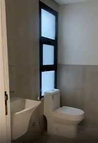 20 