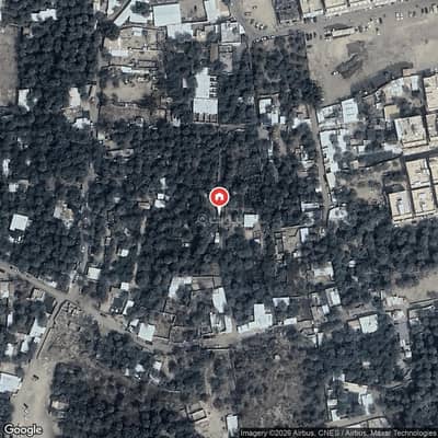مزرعة 1 غرفة نوم للبيع في الهفوف المنطقة الشرقية، الأحساء - مزرعة للبيع في المسعودي، الهفوف المنطقة الشرقية