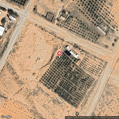 Farm for Sale in Al Lusayb Buraydah, Buraydah Al Qassim Region - Farm For Sale in Al Lusayb Buraydah, Al Qassim Region