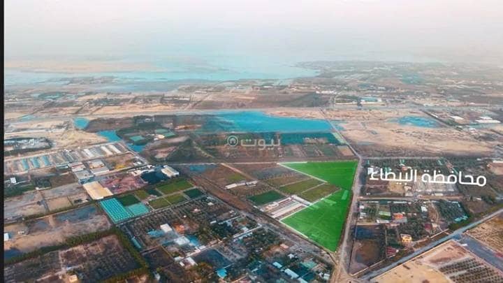 Farm For Sale in Al-Sabighawi Farms, Dammam Farm For Sale in Al-Sabighawi Farms, Dammam