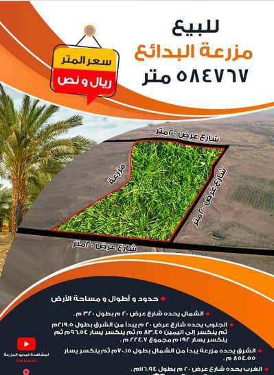 ارض سكنية للبيع في البدائع منطقة القصيم - أرض سكنية للبيع في منطقة القصيم - البدائع ارض سكنية للبيع في البدائع منطقة القصيم - أرض سكنية للبيع في منطقة القصيم - البدائع