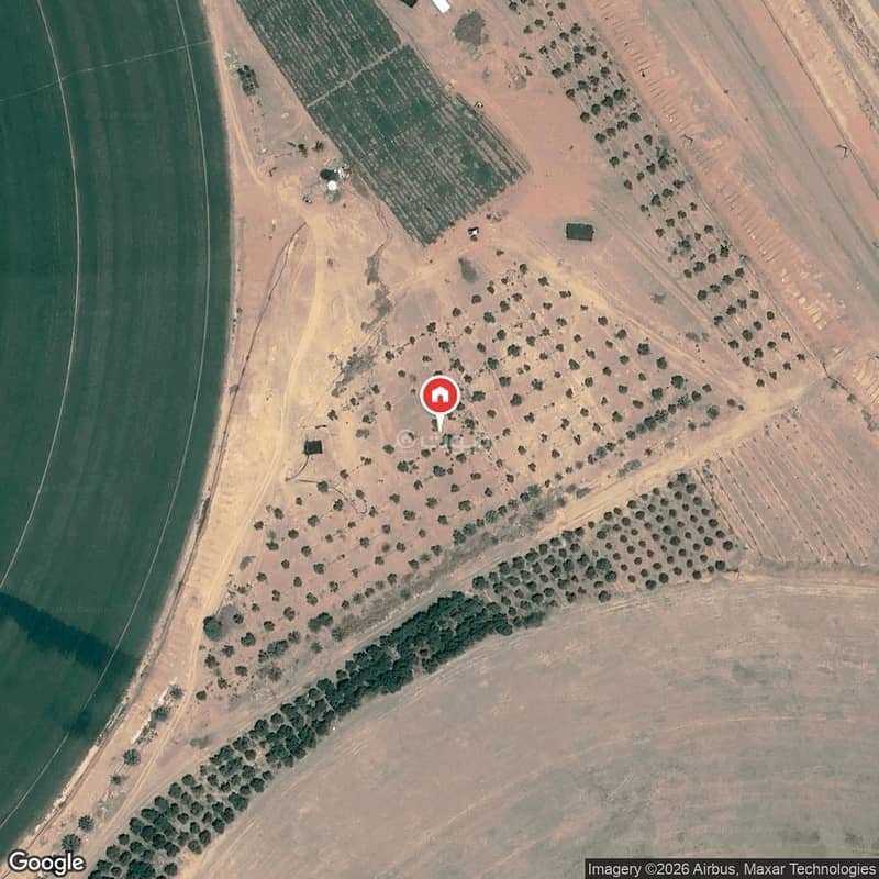 Farm For Sale in Fakieh Farms, Tabuk Farm For Sale in Fakieh Farms, Tabuk