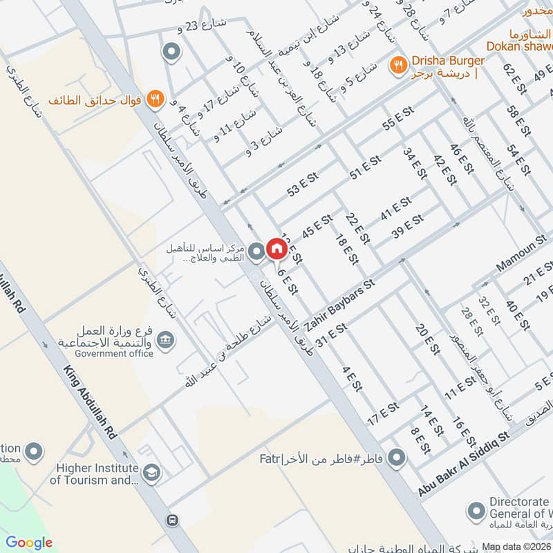 Map image