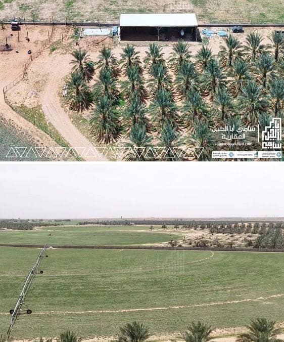 مزرعة للبيع في شارع البدائع 225, مدينة البدائع, منطقة القصيم مزرعة للبيع في شارع البدائع 225, مدينة البدائع, منطقة القصيم