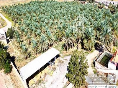 2 Bedroom Farm for Sale in Al Rawdah, Al Bukayriyah - Farm For Sale in Al Rawdah, Al Bukayriyah