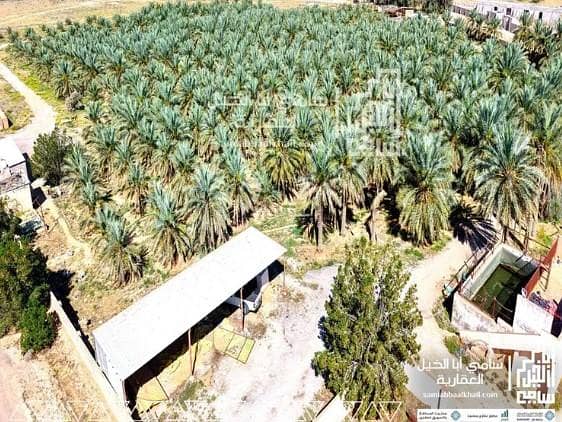 Farm For Sale in Al Rawdah, Al Bukayriyah Farm For Sale in Al Rawdah, Al Bukayriyah