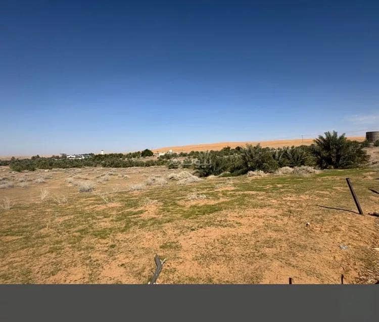 مزرعة للبيع في الجلدة، عنيزة مزرعة للبيع في الجلدة، عنيزة