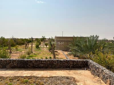 3 Bedroom Farm for Sale in Jilah 2 - Farm for sale in Al-Jalla
