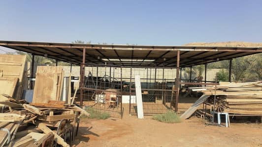 مزرعة 1 غرفة نوم للبيع في غرب الرياض، الرياض - مزرعه للبيع مساحة 5600 م