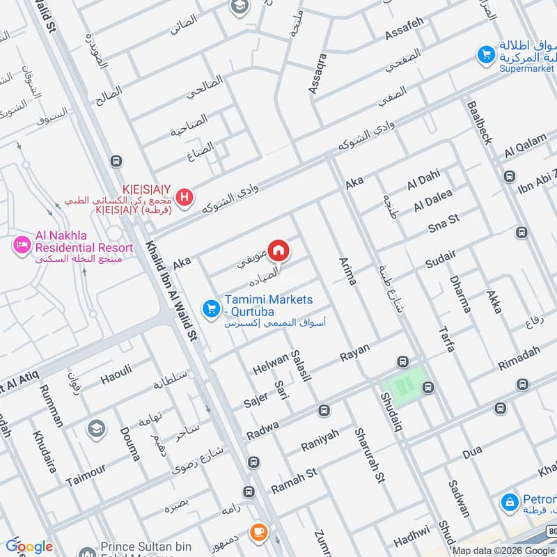 Map image
