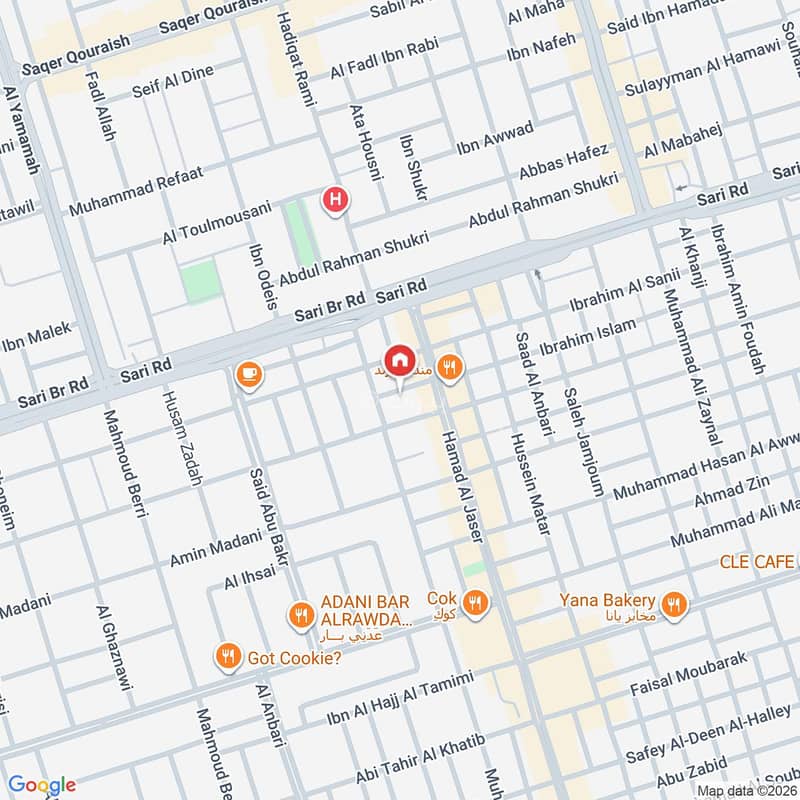 Map image