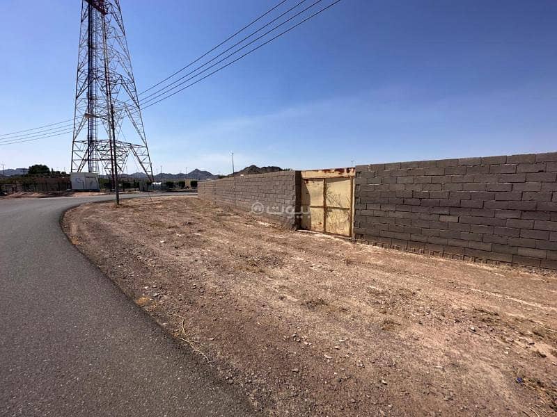أرض للإيجار في شارع الفرع 227, حي الصويدرة, مدينة المدينة المنورة, منطقة المدينة المنورة أرض للإيجار في شارع الفرع 227, حي الصويدرة, مدينة المدينة المنورة, منطقة المدينة المنورة