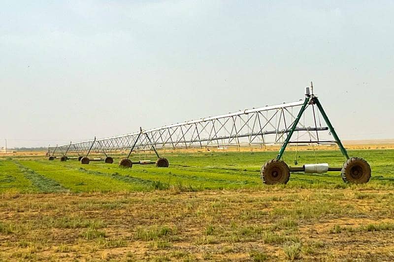 Farm for sale in Hail Farm for sale in Hail