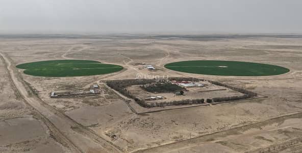 Farm for Sale in Ash Shayyit Eastern Farms, Ash Shayyit - Farm for sale in the Eastern Province
