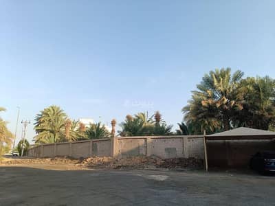 8 Bedroom Farm for Rent in Mahzur, Madina - A farm for rent on King Abdullah bin Abdulaziz Street, Wadi Mahzur neighborhood, Medina city, Medina region