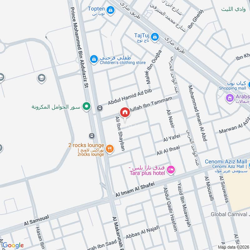 Map image