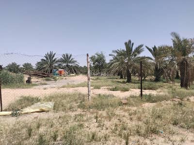 1 Bedroom Farm for Rent in Al Majd, Al Bukayriyah - A farm for rent on Al-Majd Street 9, Al-Majd District, Al-Bukayriyah City, Qassim Region