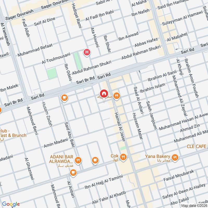 Map image