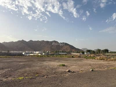 Farm for Rent in Al Aridh, Madina - Farm for rent, Al-Madinah