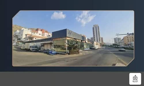 ارض سكنية  للبيع في وادي جليل، مكة - أرض للبيع في وادي جليل، مكة