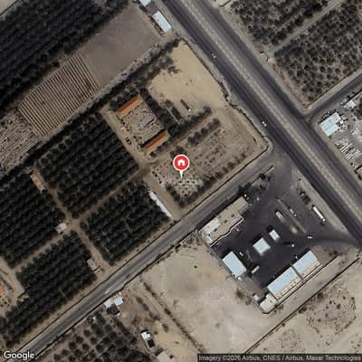 1 Bedroom Farm for Sale in Al-Ghwaybah Agricultural Zone 3, Al Ahsa - Farm For Sale in Al-Ghwaybah Agricultural Zone 3, Al Ahsa