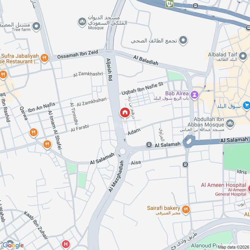 Map image