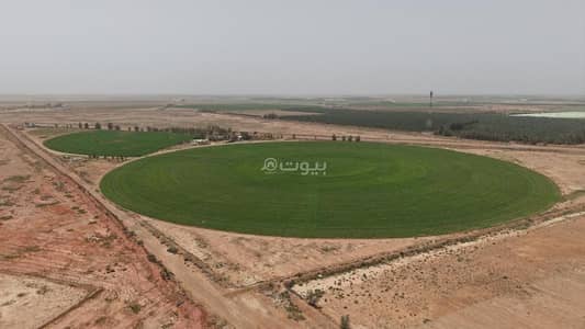 1 Bedroom Farm for Sale in Aldilfaeuh - Farm 1 bedroom 1600000 SAR - 87981328