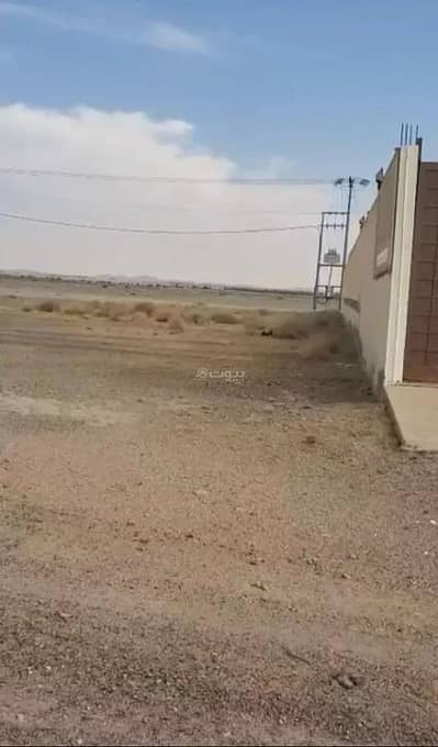 ارض سكنية للبيع في الروضة - أرض سكنية للبيع في الروضة ارض سكنية للبيع في الروضة - أرض سكنية للبيع في الروضة