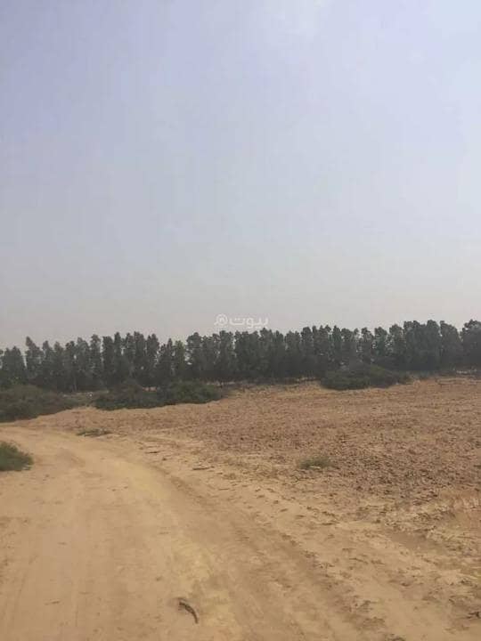 مزرعة للبيع في الزهور، جازان مزرعة للبيع في الزهور، جازان