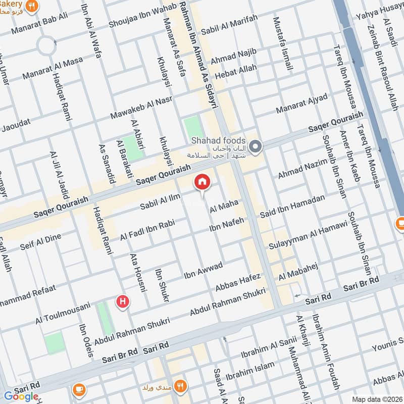 Map image