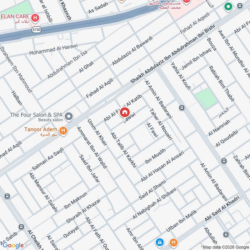 Map image