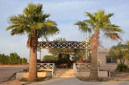 مزرعة 3 غرف نوم للبيع في حوطه سدير - شقة للبيع في شارع الملز, حي الفيصلية, جدة
