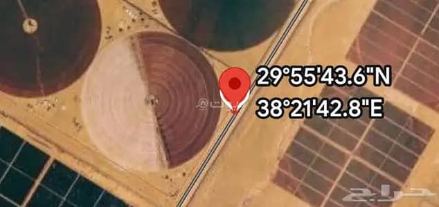 مزرعة 2 غرفة نوم للبيع في مزارع بسيطا الجنوبية، طبرجل - مزرعة للبيع في بسيطا الجنوبية، طبرجل