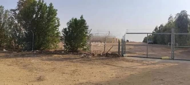 1 Bedroom Farm for Sale in Alsawida Farms, Alsawida - Farm For Sale in Alsawida Farms