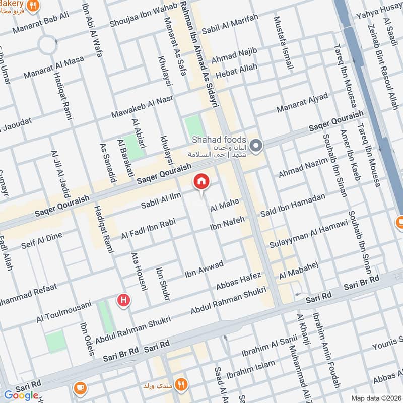 Map image