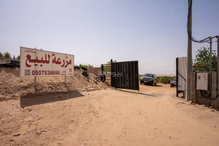 مزرعة 1 غرفة نوم للبيع في الخرج منطقة الرياض - مزرعة للبيع في الخرج منطقة الرياض