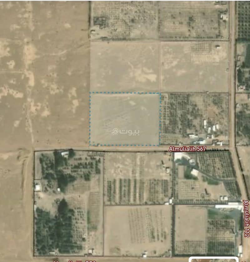Agriculture Plot in Al Mulaylih 1 bedroom 745312 SAR - 87993451 Agriculture Plot in Al Mulaylih 1 bedroom 745312 SAR - 87993451