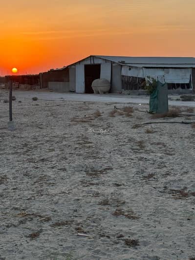1 Bedroom Farm for Sale in Al Jubail - Farm for sale in Al Jubail